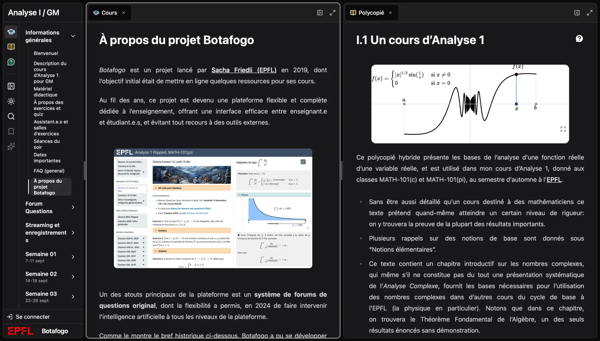 Botafogo's three-pane course workspace showing an Analyse 1 course